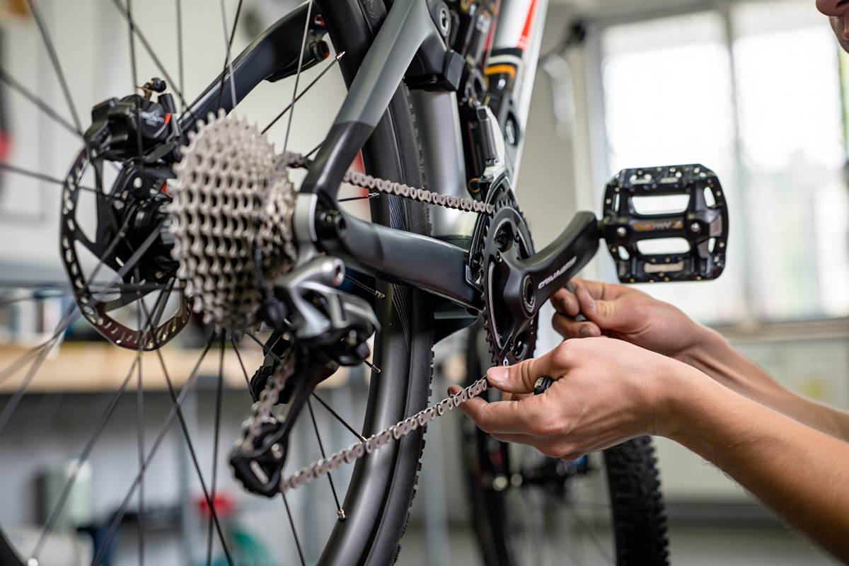 Bike parts guide showing bicycle components like brakes chains cranksets pedals and gears